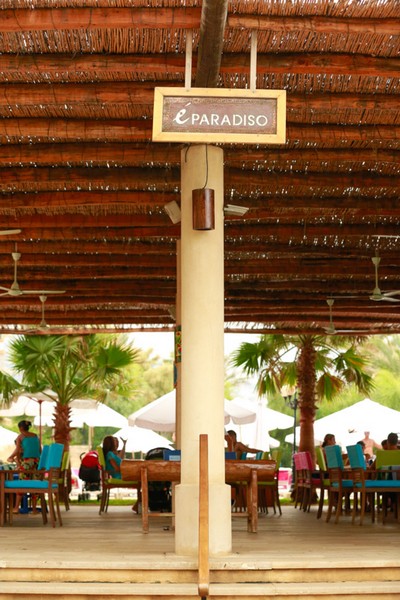 Edde Sands on Sunday